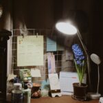 Tips for Creating a Cozy and Functional Home Office Space